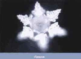 ������� ���� ��� ������������ � ���������