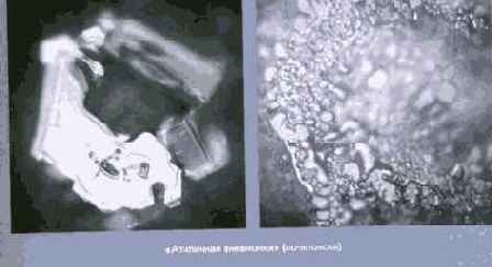 ������� ���� ��� ������������ � ���������