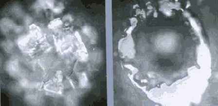 ������� ���� ��� ������������ � ���������