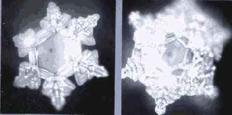 ������� ���� ��� ������������ � ���������