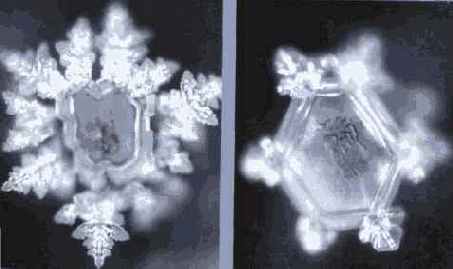 ������� ���� ��� ������������ � ���������