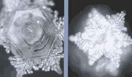 ������� ���� ��� ������������ � ���������