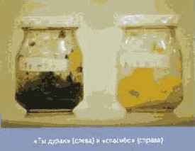 ������� ���� ��� ������������ � ���������