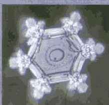 ������� ���� ��� ������������ � ���������