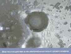 ������� ���� ��� ������������ � ���������