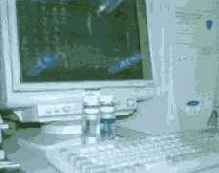 ������� ���� ��� ������������ � ���������