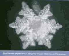 ������� ���� ��� ������������ � ���������