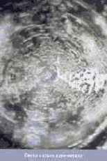 ������� ���� ��� ������������ � ���������