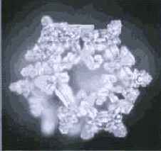 ������� ���� ��� ������������ � ���������