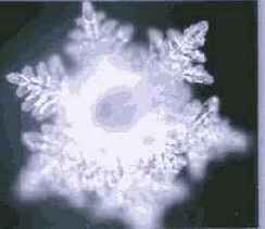 ������� ���� ��� ������������ � ���������