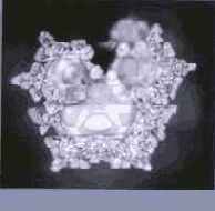 ������� ���� ��� ������������ � ���������