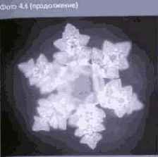 ������� ���� ��� ������������ � ���������