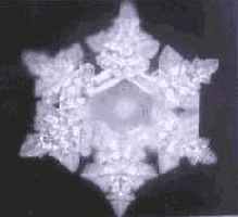 ������� ���� ��� ������������ � ���������