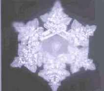 ������� ���� ��� ������������ � ���������