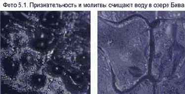 ������� ���� ��� ������������ � ���������