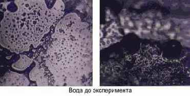 ������� ���� ��� ������������ � ���������