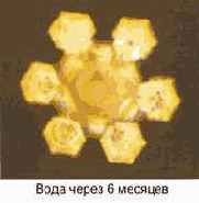 ������� ���� ��� ������������ � ���������