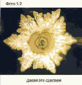 ������� ���� ��� ������������ � ���������