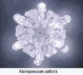 ������� ���� ��� ������������ � ���������