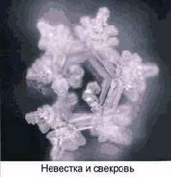 ������� ���� ��� ������������ � ���������