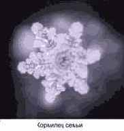 ������� ���� ��� ������������ � ���������