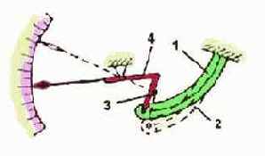 ����������������� � ��������������� ����������