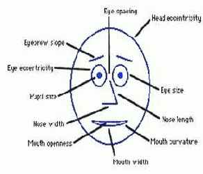 ���� �������