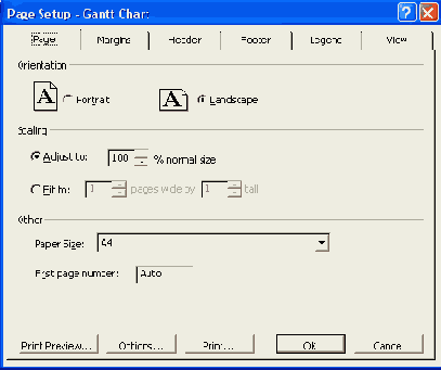 ���� Page Setup (��������� ��������)