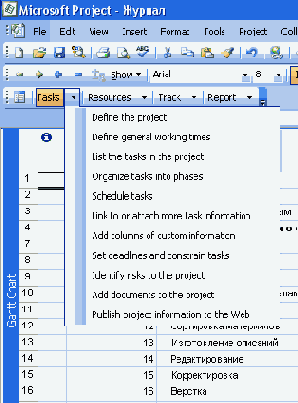 ������ ������������ Project Guide (�����������)