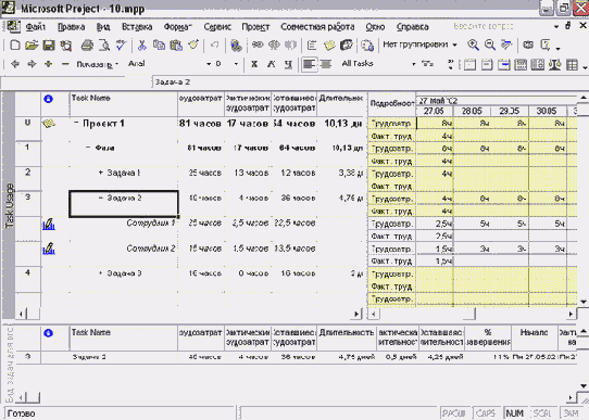 ���� MS Project ����� ���������� ��������
