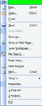 ���� File (����)