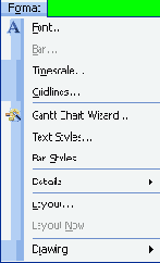 ���� Format (������)