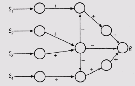 ��������� ����