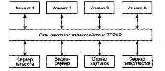 ���������������� �������