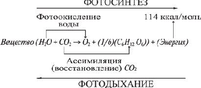 ���������������� � �������� �������