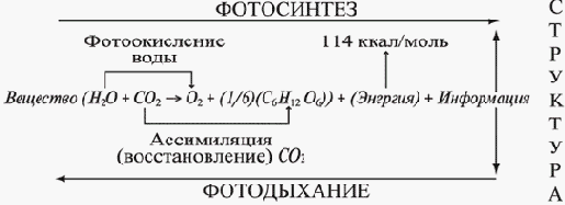 ���������������� � �������� �������