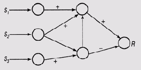 Иерархическое представление заболеваний органов дыхания