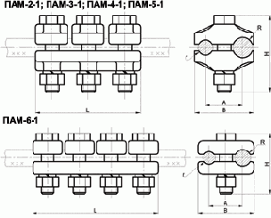 ������ ��������� ���� ���