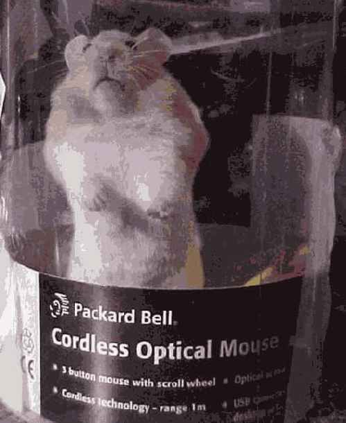 ����� �� ���� � 64-������ ��������