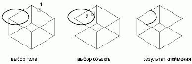 ������ �������