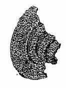 B Некоторые временные характеристики выполнения анализа в системе MSC/NASTRAN for Windows