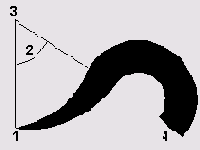 ���������� ��������� � ������ ���