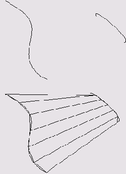 ������������ ���������� ����������� ����������