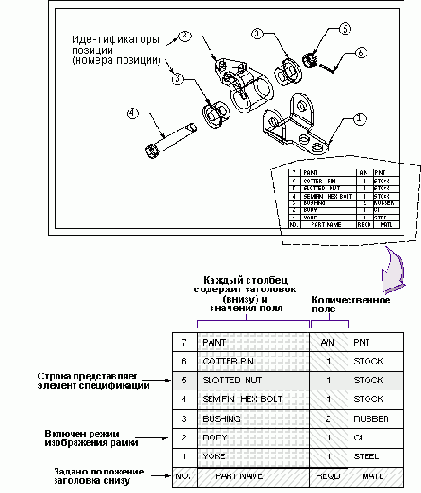 ���� � ���������