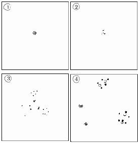 ������� ��������