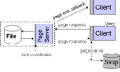 �����������, ���������� �� ���������