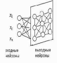 �������� ���� ��������