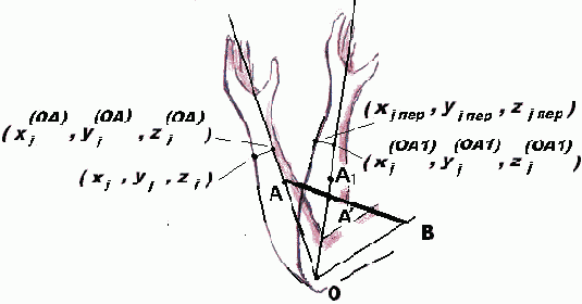  ��������-�������� ����������