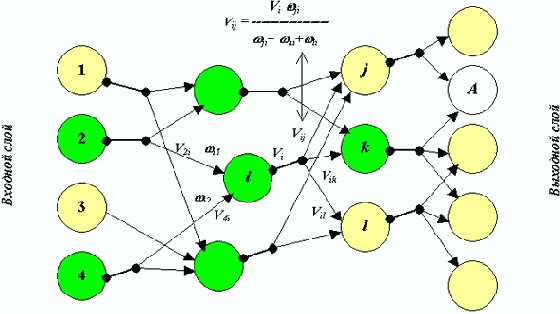 ������ �����