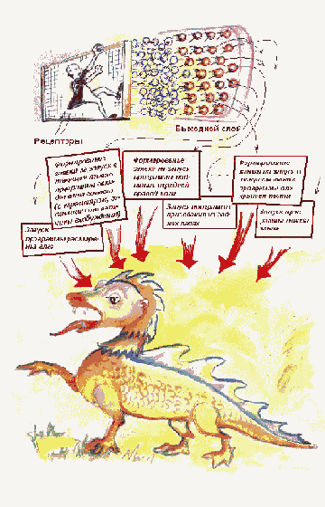 ������ �����